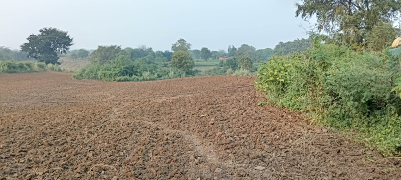  Agricultural Land 9 Acre for Sale in Nawagarh, Bemetara