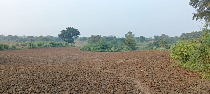  Agricultural Land 9 Acre for Sale in Nawagarh, Bemetara