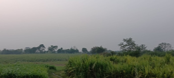  Agricultural Land for Sale in Nandghat, Bemetara