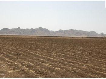  Agricultural Land for Sale in Bhartiya Nagar, Bilaspur