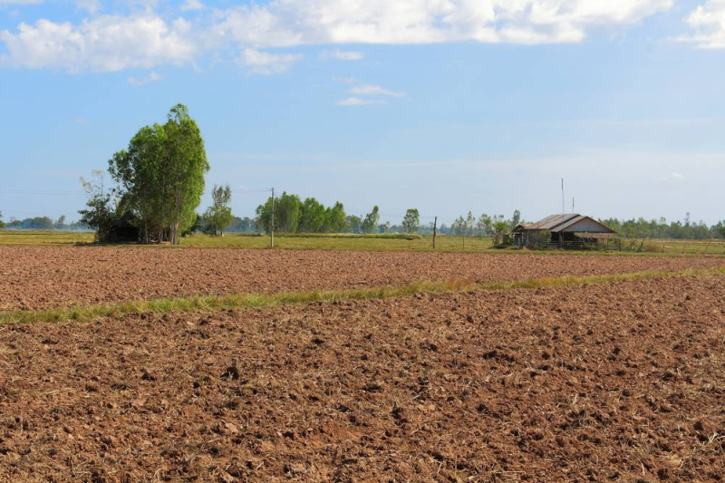  Agricultural Land 100 Acre for Sale in Balrampur, Ramanujganj
