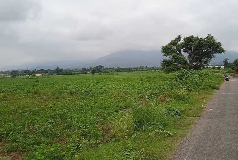  Agricultural Land 300 Acre for Sale in Dabhara, Janjgir-Champa