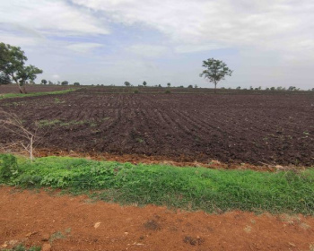  Agricultural Land for Sale in Dhamdha, Durg