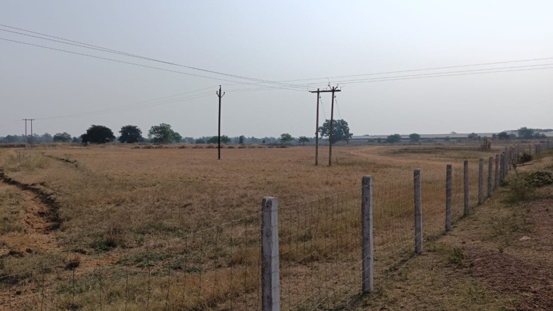  Agricultural Land 16 Acre for Sale in Tilda, Raipur