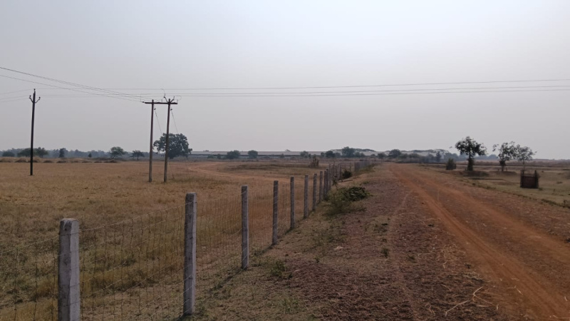  Agricultural Land 16 Acre for Sale in Tilda, Raipur