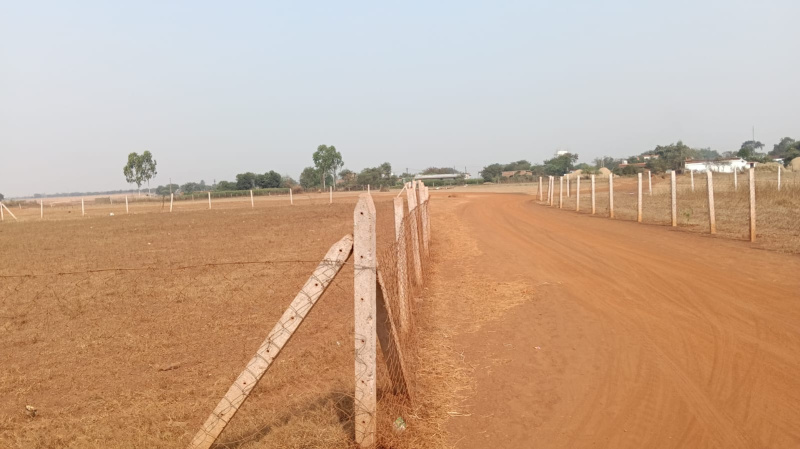  Agricultural Land 4 Acre for Sale in Tilda, Raipur