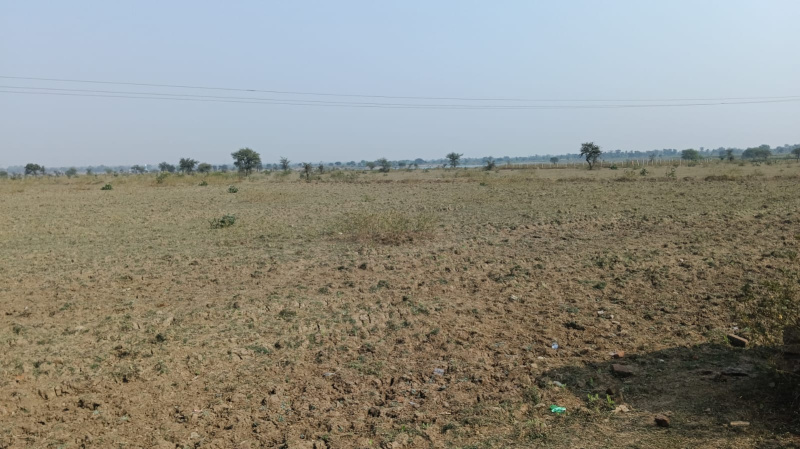  Agricultural Land 88 Acre for Sale in Tilda, Raipur