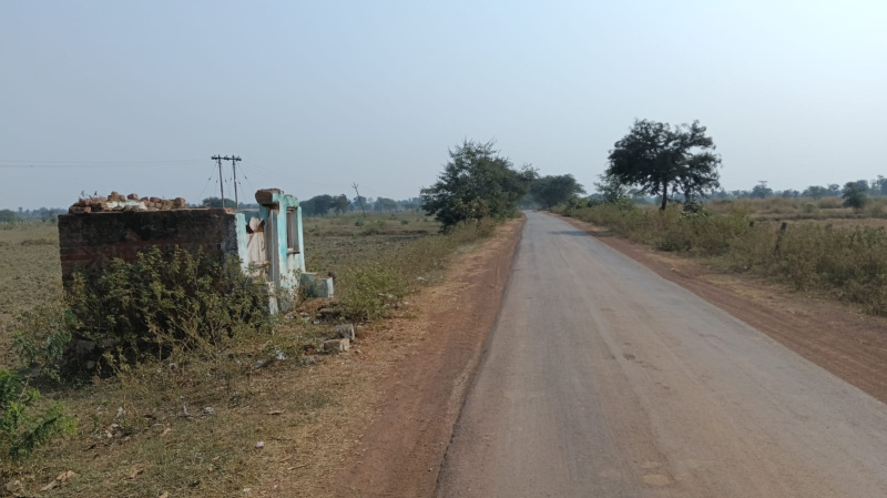  Agricultural Land 88 Acre for Sale in Tilda, Raipur