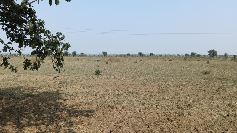  Agricultural Land 88 Acre for Sale in Tilda, Raipur