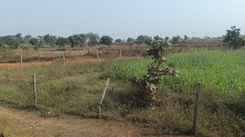  Agricultural Land 20 Acre for Sale in Tilda, Raipur