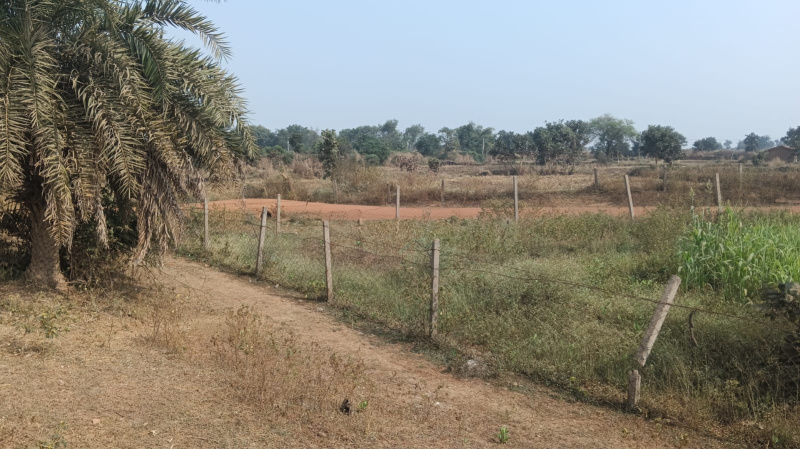  Agricultural Land 20 Acre for Sale in Tilda, Raipur