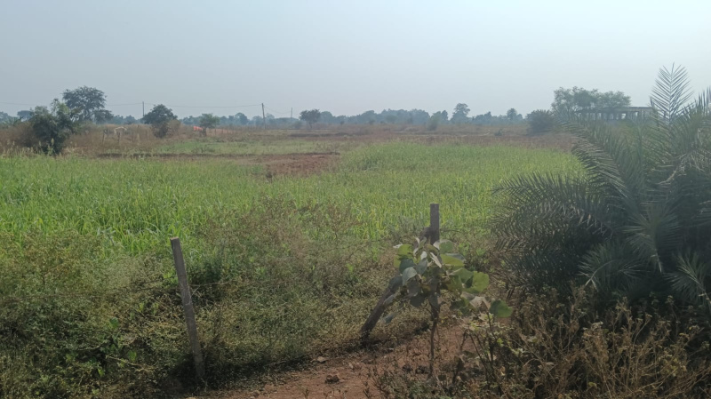  Agricultural Land 20 Acre for Sale in Tilda, Raipur