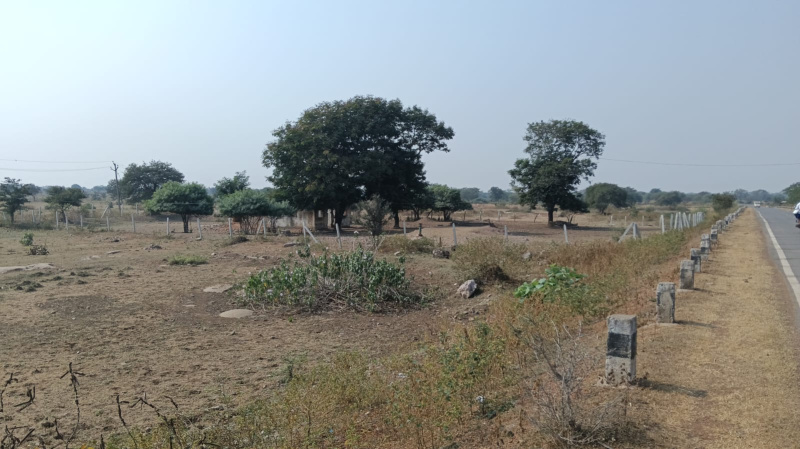  Agricultural Land 120 Acre for Sale in Tilda, Raipur