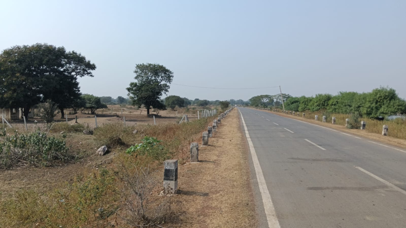  Agricultural Land 120 Acre for Sale in Tilda, Raipur