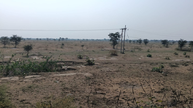  Agricultural Land 120 Acre for Sale in Tilda, Raipur