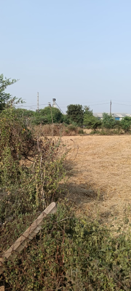  Agricultural Land 3 Acre for Sale in Dharsiwa, Raipur