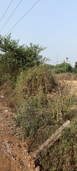  Agricultural Land 3 Acre for Sale in Dharsiwa, Raipur