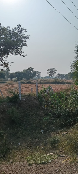  Agricultural Land 3 Acre for Sale in Dharsiwa, Raipur