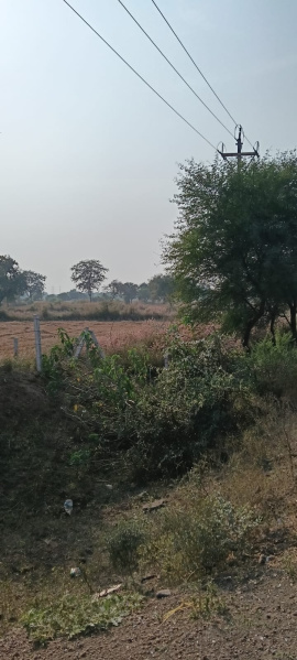  Agricultural Land 3 Acre for Sale in Dharsiwa, Raipur