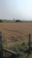 Agricultural Land for Sale in Dharsiwa, Raipur