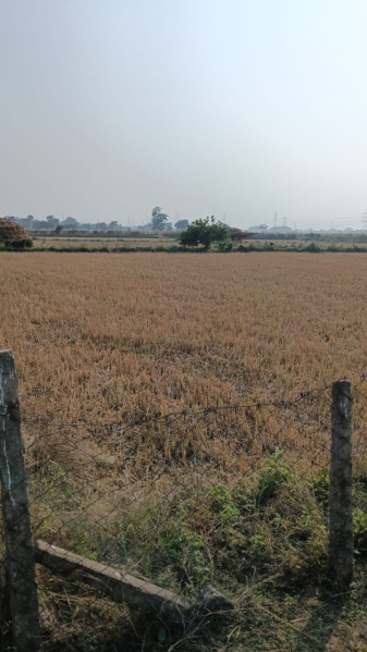  Agricultural Land 5 Acre for Sale in Dharsiwa, Raipur