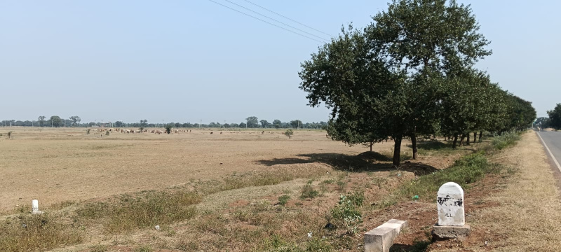  Agricultural Land 58 Acre for Sale in Bhatapara, Baloda Bazar, Raipur