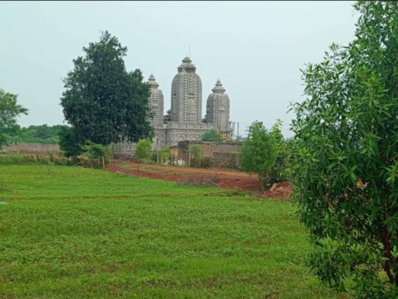  Residential Plot 1100 Sq.ft. for Sale in Datrenga, Raipur