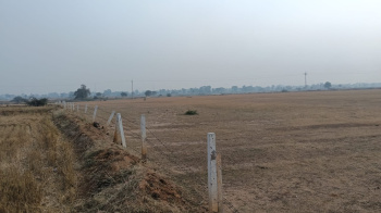  Agricultural Land for Sale in Dhamdha, Durg