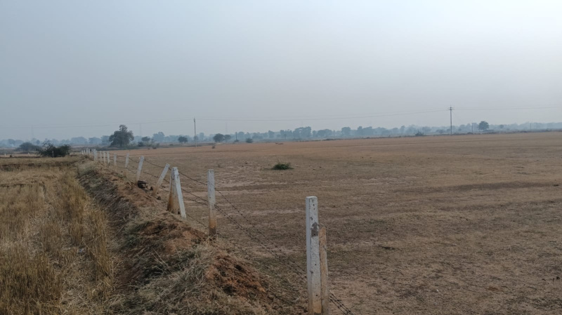  Agricultural Land 5 Acre for Sale in Dhamdha, Durg