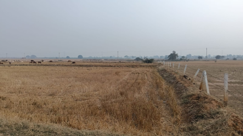  Agricultural Land 5 Acre for Sale in Dhamdha, Durg