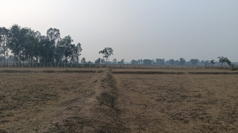  Agricultural Land 12 Acre for Sale in Nawagarh, Bemetara