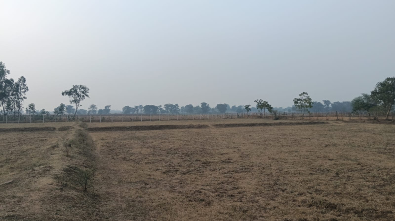  Agricultural Land 12 Acre for Sale in Nawagarh, Bemetara