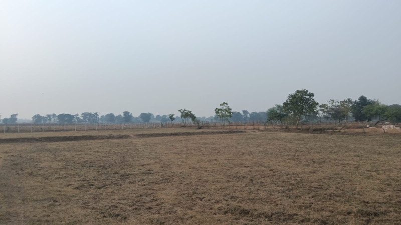  Agricultural Land 12 Acre for Sale in Nawagarh, Bemetara