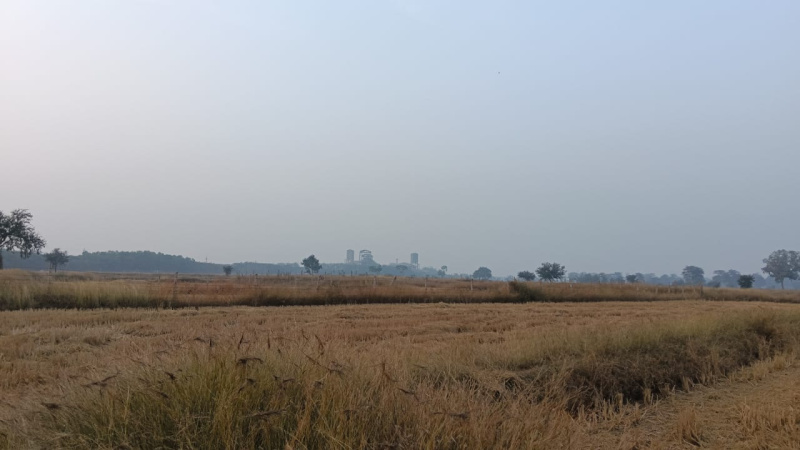  Agricultural Land 7 Acre for Sale in Ahiwara, Durg