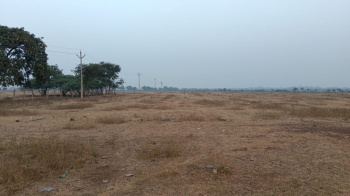  Agricultural Land for Sale in Dhamdha, Durg