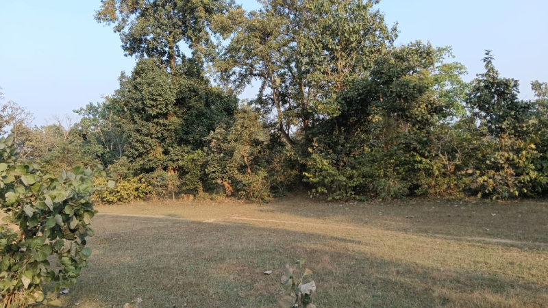  Agricultural Land 13 Acre for Sale in Dongargaon, Rajnandgaon