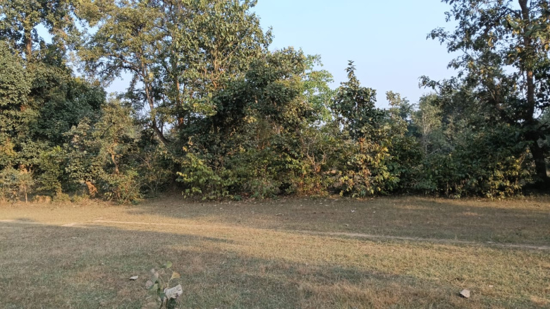  Agricultural Land 13 Acre for Sale in Dongargaon, Rajnandgaon