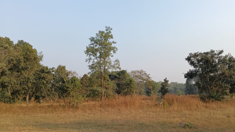  Agricultural Land 140 Acre for Sale in Dongargaon, Rajnandgaon