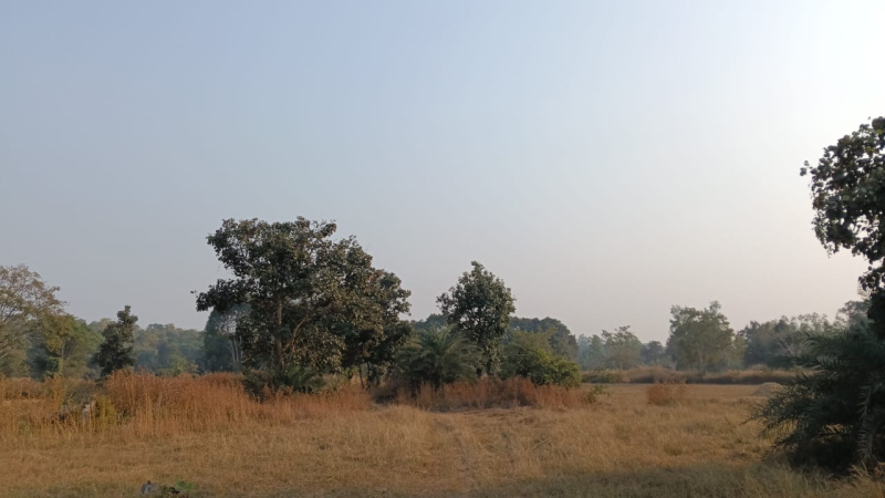  Agricultural Land 140 Acre for Sale in Dongargaon, Rajnandgaon