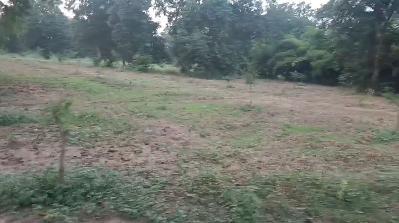  Residential Plot 90 Acre for Sale in Kurud, Dhamtari