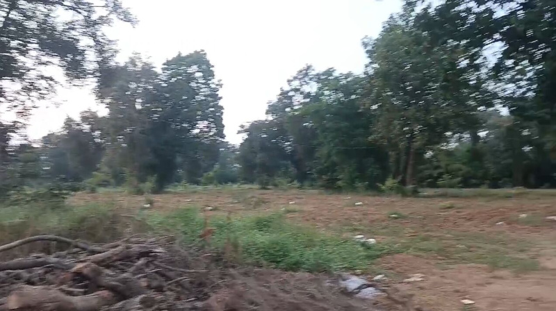  Residential Plot 90 Acre for Sale in Kurud, Dhamtari