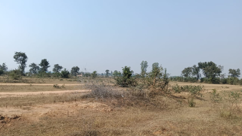  Agricultural Land 6 Acre for Sale in Bagbahara, Mahasamund