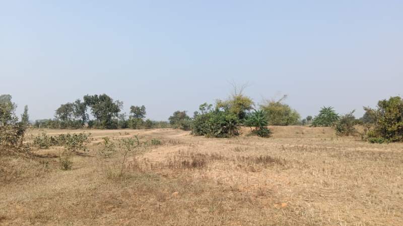  Agricultural Land 6 Acre for Sale in Bagbahara, Mahasamund