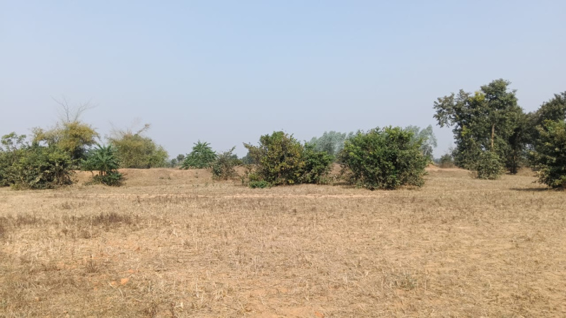  Agricultural Land 6 Acre for Sale in Bagbahara, Mahasamund