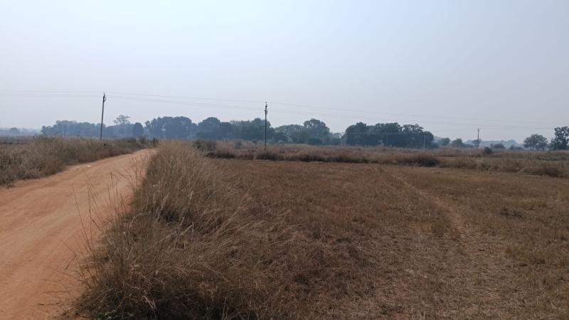  Agricultural Land 19 Acre for Sale in Pithora, Mahasamund