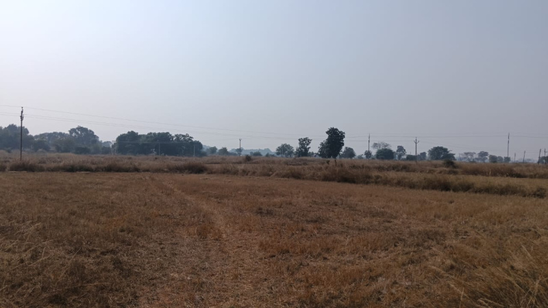  Agricultural Land 19 Acre for Sale in Pithora, Mahasamund