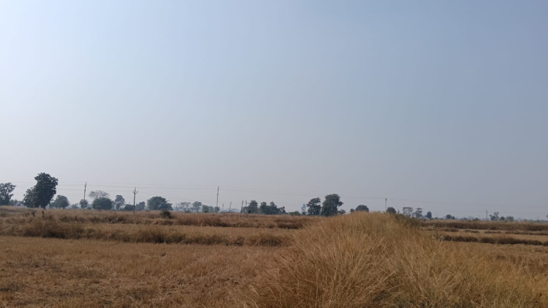  Agricultural Land 19 Acre for Sale in Pithora, Mahasamund