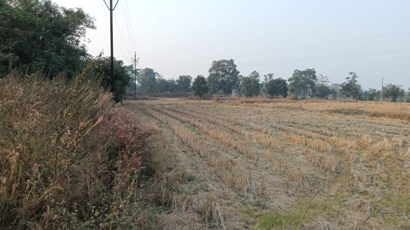  Agricultural Land 17 Acre for Sale in Bagbahara, Mahasamund