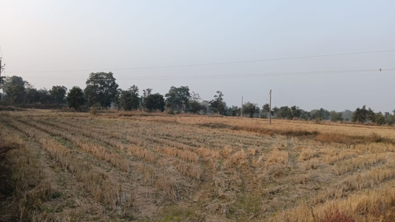  Agricultural Land 17 Acre for Sale in Bagbahara, Mahasamund