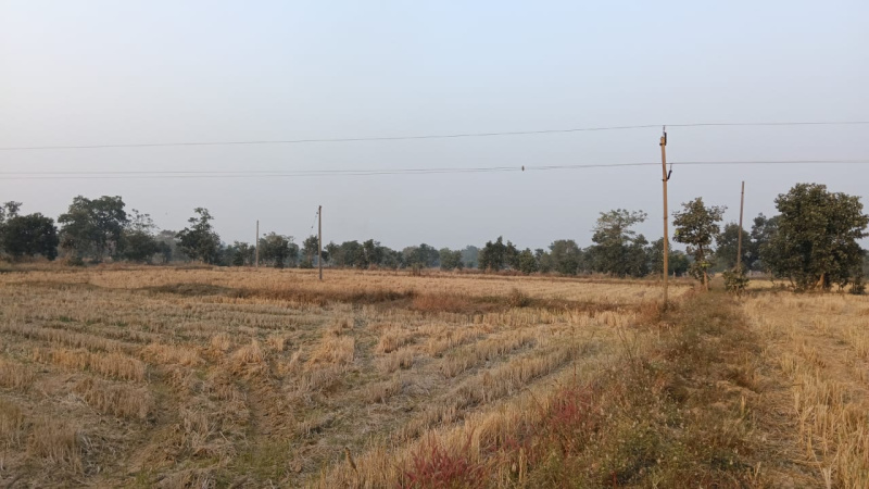  Agricultural Land 17 Acre for Sale in Bagbahara, Mahasamund